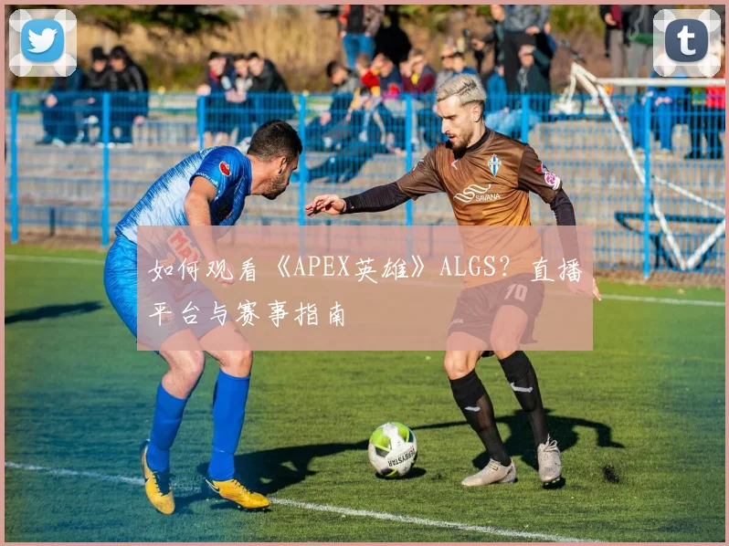 如何观看《APEX英雄》ALGS？直播平台与赛事指南