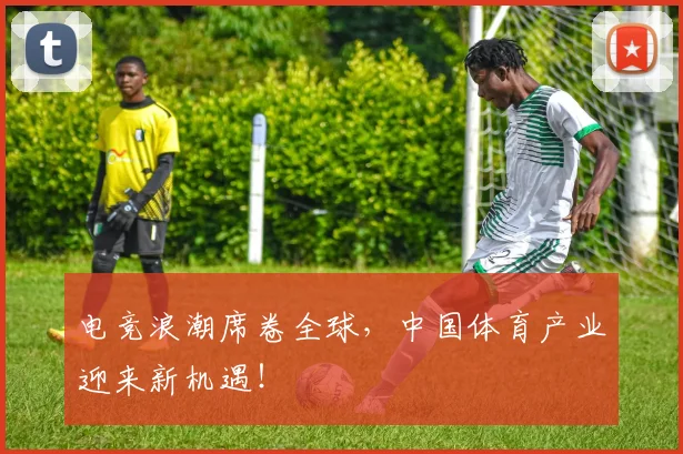 电竞浪潮席卷全球,中国体育产业迎来新机遇!