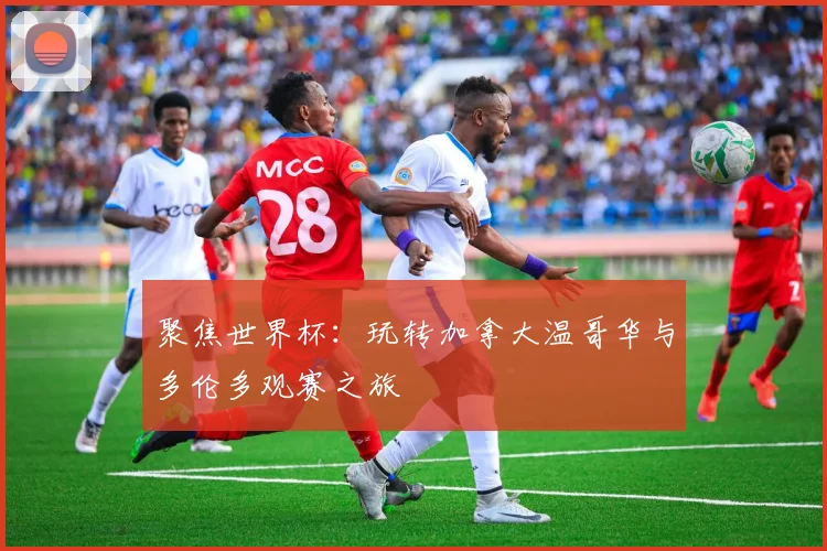 聚焦世界杯：玩转加拿大温哥华与多伦多观赛之旅