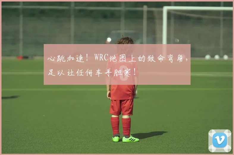 心跳加速！WRC地图上的致命弯角，足以让任何车手胆寒！