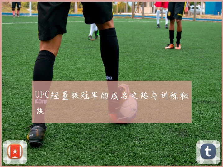 UFC轻量级冠军的成名之路与训练秘诀