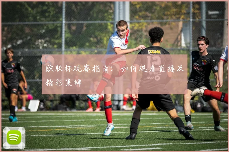 欧联杯观赛指南:如何观看直播及精彩集锦