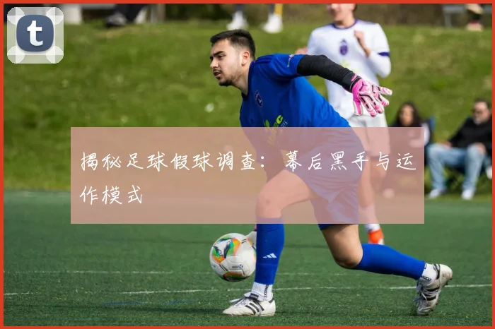 揭秘足球假球调查：幕后黑手与运作模式